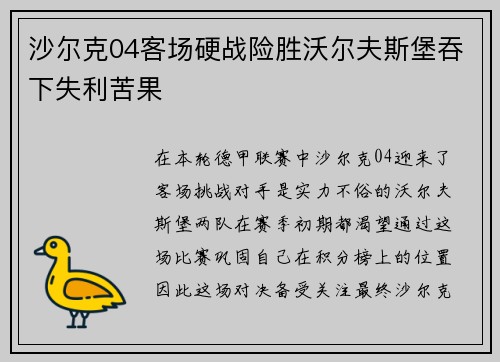 沙尔克04客场硬战险胜沃尔夫斯堡吞下失利苦果